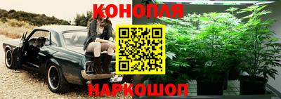 стафф Апшеронск