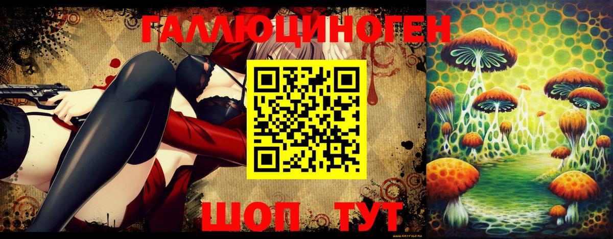 купить наркоту  Вышний Волочёк  Галлюциногенные грибы Cubensis 